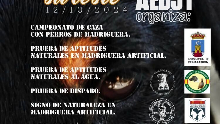 CAMPEONATO DE CAZA DE PERROS DE MADRIGUERA 12/10/2024